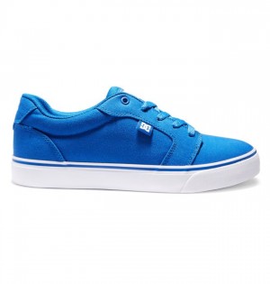 DC Shoes Anvil Canvas Miesten Essentials Sininen Valkoinen | 914-SFPEWY
