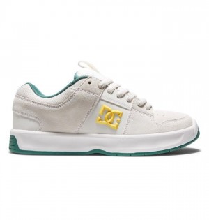 DC Shoes Lynx Zero Skate Miesten Tennarit Vaaleanharmaat | 138-NSHDVM