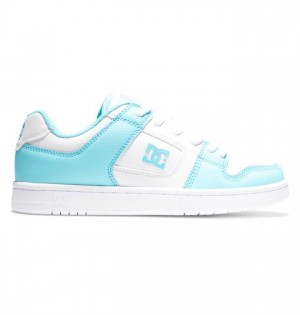 DC Shoes Manteca 4 Naisten Tennarit Valkoinen Sininen | 182-HIEGSJ