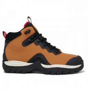 DC Shoes Navigator Lace Winter Boots Miesten Talvisaappaat Ruskea Mustat | 574-XWVHDQ